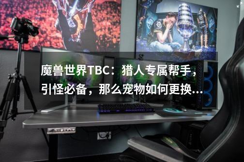 魔兽世界TBC：猎人专属帮手，引怪必备，那么宠物如何更换呢？-第1张-游戏相关-拼搏