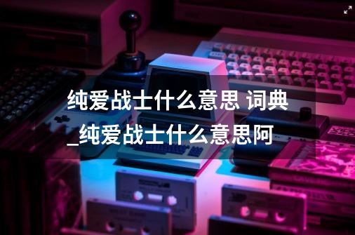 纯爱战士什么意思 词典_纯爱战士什么意思阿-第1张-游戏相关-拼搏