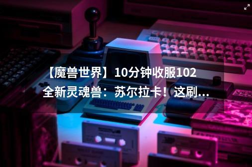 【魔兽世界】10分钟收服10.2全新灵魂兽：苏尔拉卡！这刷新时间-第1张-游戏相关-拼搏