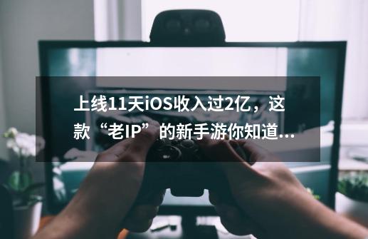 上线11天iOS收入过2亿，这款“老IP”的新手游你知道和你不知道的-第1张-游戏相关-拼搏