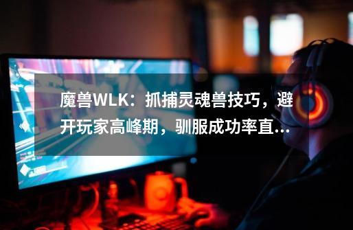 魔兽WLK：抓捕灵魂兽技巧，避开玩家高峰期，驯服成功率直接翻倍-第1张-游戏相关-拼搏