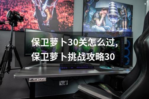 保卫萝卜30关怎么过,保卫萝卜挑战攻略30-第1张-游戏相关-拼搏