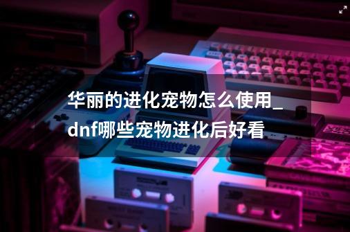 华丽的进化宠物怎么使用_dnf哪些宠物进化后好看-第1张-游戏相关-拼搏