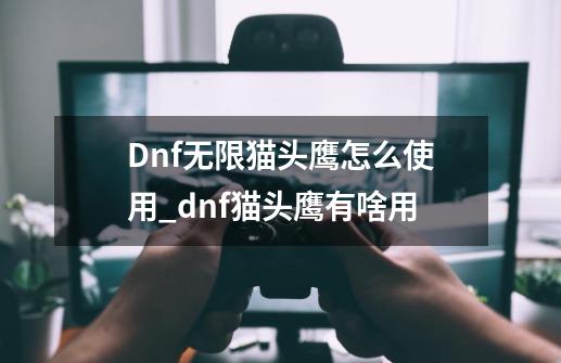 Dnf无限猫头鹰怎么使用_dnf猫头鹰有啥用-第1张-游戏相关-拼搏