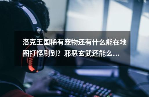 洛克王国稀有宠物还有什么能在地图打怪刷到？邪恶玄武还能么？将详细些。,洛克王国幽灵王-第1张-游戏相关-拼搏