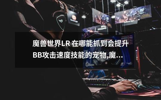 魔兽世界LR 在哪能抓到会提升BB攻击速度技能的宠物,魔兽世界跳跃者塔克是唯一模型吗-第1张-游戏相关-拼搏