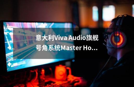 意大利Viva Audio旗舰号角系统Master Horn System-第1张-游戏相关-拼搏