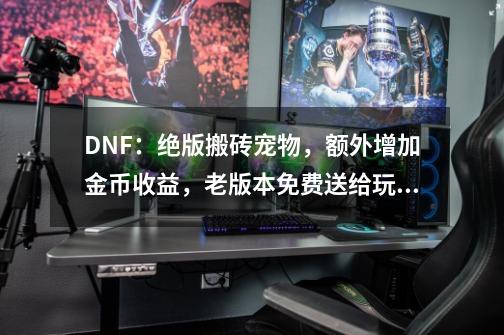 DNF：绝版搬砖宠物，额外增加金币收益，老版本免费送给玩家-第1张-游戏相关-拼搏