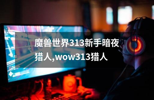 魔兽世界3.13新手暗夜猎人,wow313猎人-第1张-游戏相关-拼搏