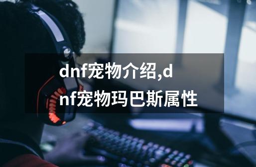 dnf宠物介绍,dnf宠物玛巴斯属性-第1张-游戏相关-拼搏