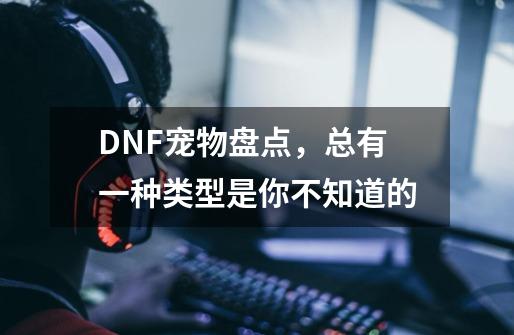 DNF宠物盘点，总有一种类型是你不知道的-第1张-游戏相关-拼搏