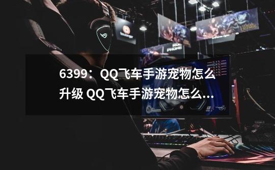 6399：QQ飞车手游宠物怎么升级 QQ飞车手游宠物怎么进化-第1张-游戏相关-拼搏