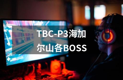 TBC-P3海加尔山各BOSS-第1张-游戏相关-拼搏