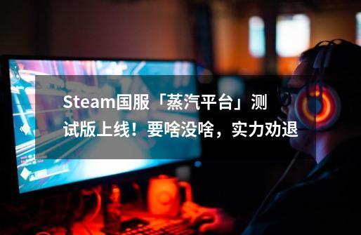 Steam国服「蒸汽平台」测试版上线！要啥没啥，实力劝退-第1张-游戏相关-拼搏