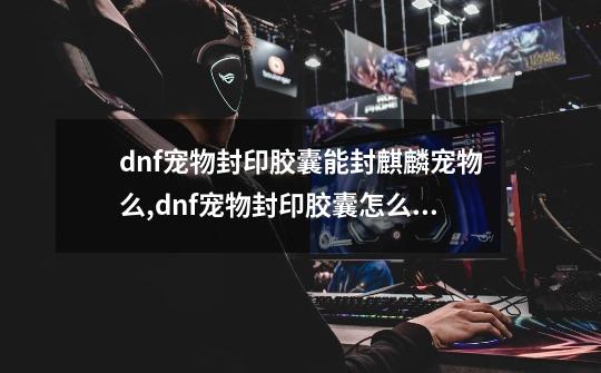 dnf宠物封印胶囊能封麒麟宠物么,dnf宠物封印胶囊怎么获得-第1张-游戏相关-拼搏