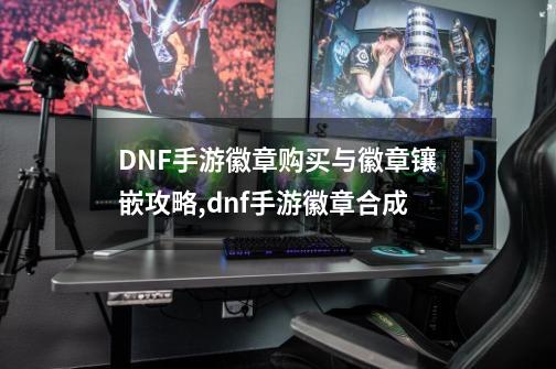 DNF手游徽章购买与徽章镶嵌攻略,dnf手游徽章合成-第1张-游戏相关-拼搏