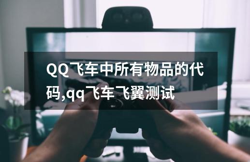 QQ飞车中所有物品的代码,qq飞车飞翼测试-第1张-游戏相关-拼搏