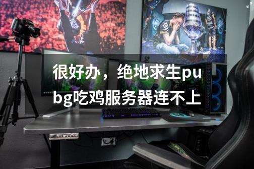 很好办，绝地求生pubg吃鸡服务器连不上-第1张-游戏相关-拼搏