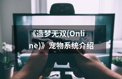 《造梦无双(Online)》宠物系统介绍-第1张-游戏相关-拼搏