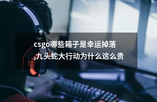 csgo哪些箱子是幸运掉落,九头蛇大行动为什么这么贵-第1张-游戏相关-拼搏