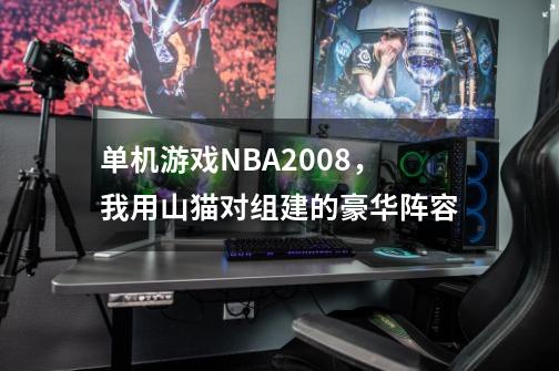 单机游戏NBA2008，我用山猫对组建的豪华阵容-第1张-游戏相关-拼搏