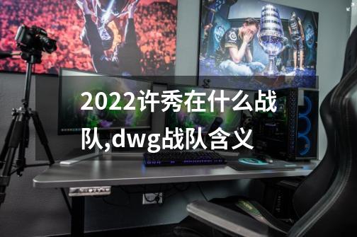 2022许秀在什么战队,dwg战队含义-第1张-游戏相关-拼搏